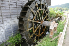 P1010353
