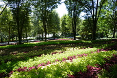 2014 コリウスの園（国営武蔵丘陵森林公園）