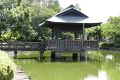 上沼公園