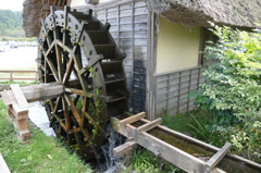 P1010351
