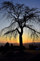 梶原景時終焉之地