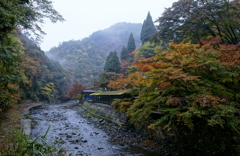 朝の高雄