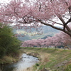 花咲谷