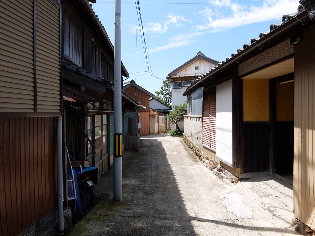 佐久島の夏