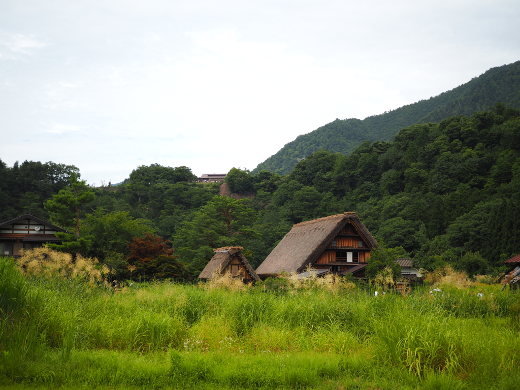 白川郷の田園風景