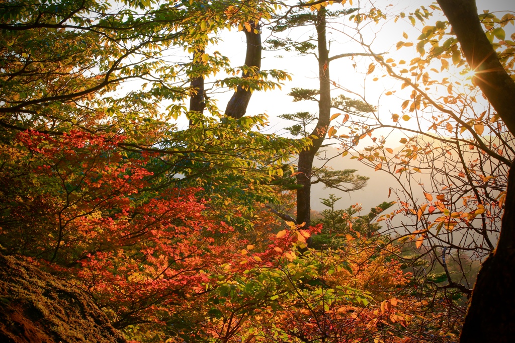 #035_odaigahara-October red.-