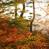#035_odaigahara-October red.-