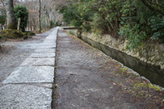 哲学の道