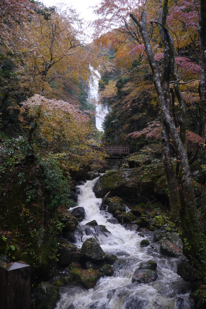 神庭の滝