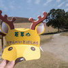 しかせんべい飛ばし大会