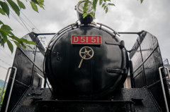 D51