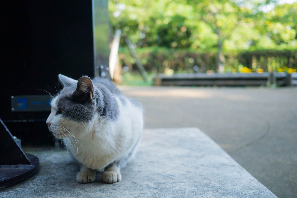 じゃらん