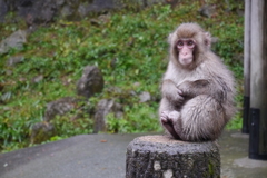 ベストポジション