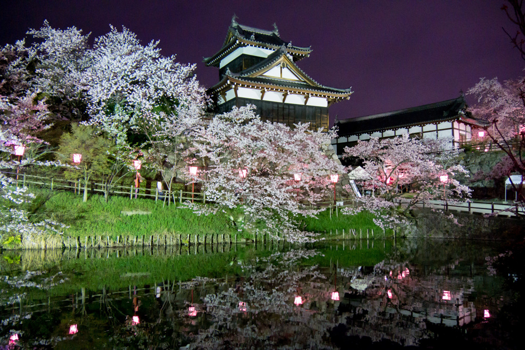 郡山城址