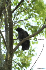 ＨＵＮＴＥＲ