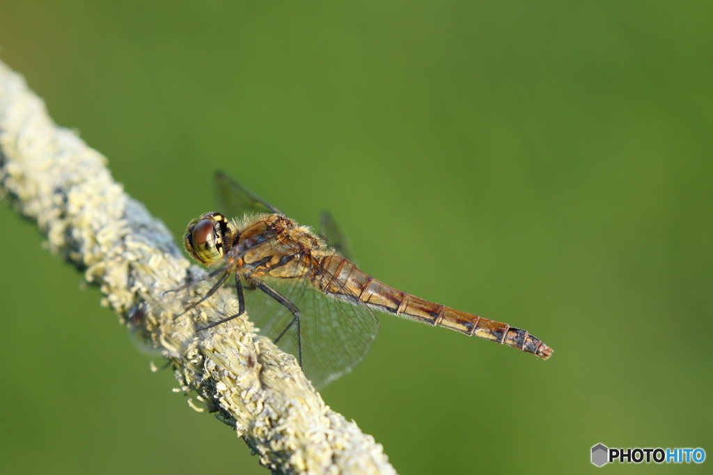午後のひととき