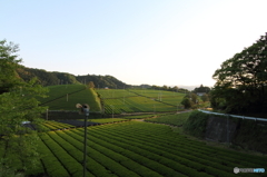 夕暮れ時