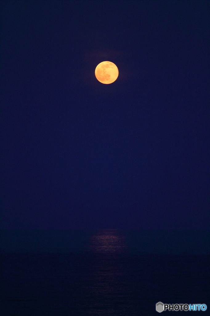 満月の日