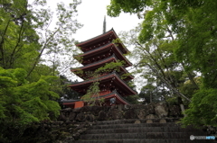 新緑