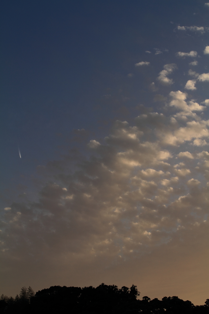 西の空にヒコーキ雲！