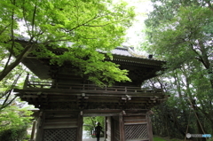 お大師様に