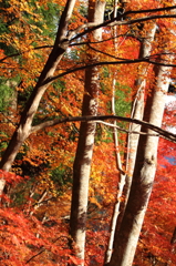 大豊町 定福寺 7