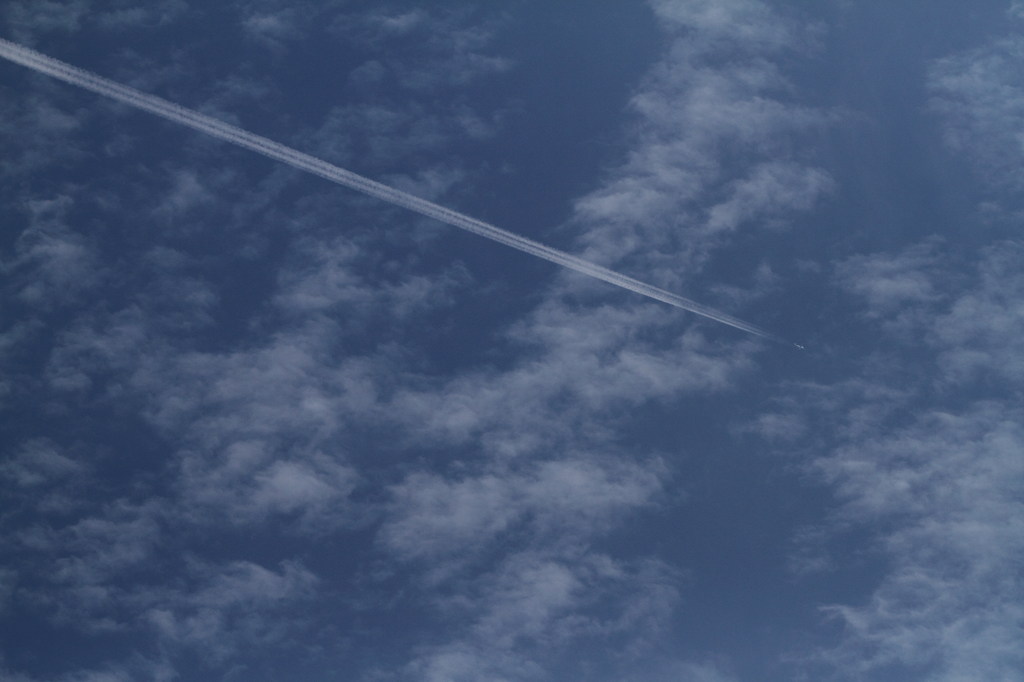 希望をのせて！