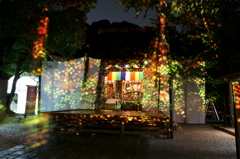 五台山　竹林寺　光の切り絵③