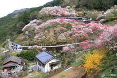 桃源郷