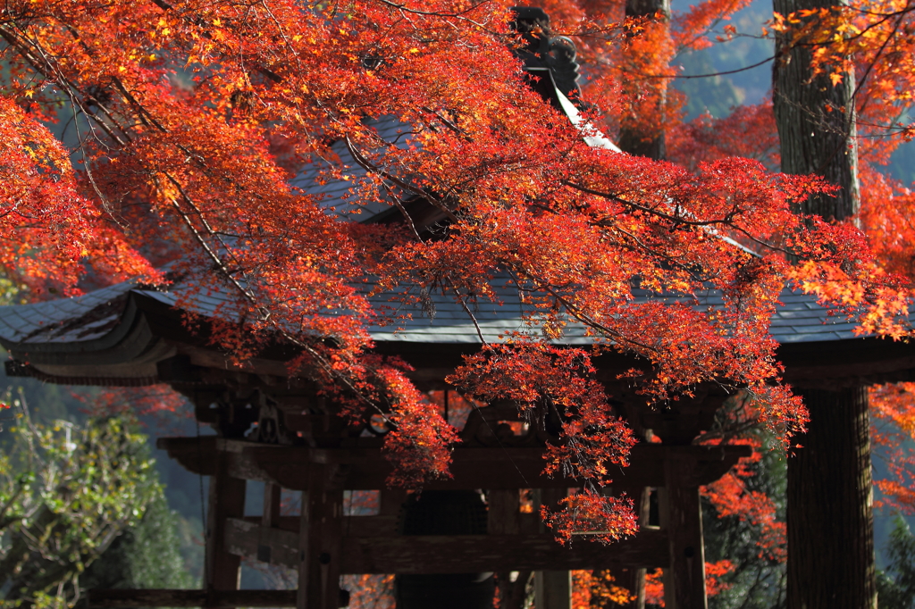 大豊町　定福寺　12