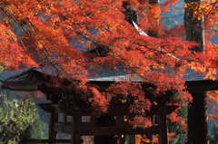大豊町 定福寺 12