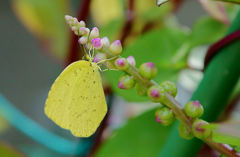 午後のひととき♪