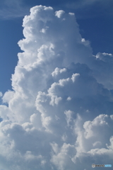 盛夏