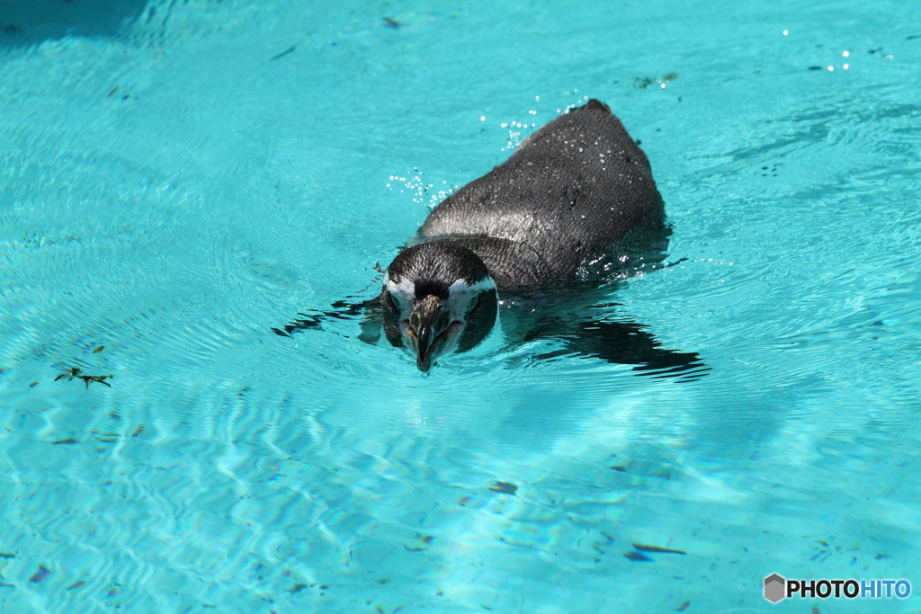 暑中お見舞い申し上げます！