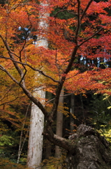 大豊町 定福寺 5