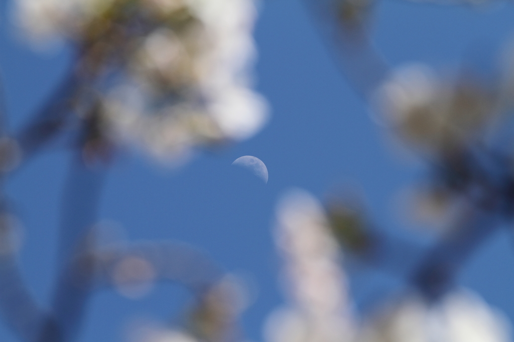 私も忘れないで