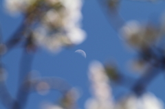 私も忘れないで