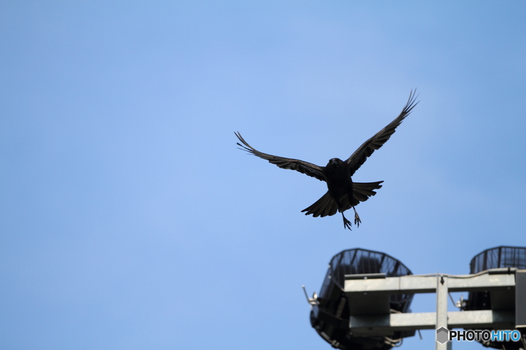 漆黒のＨＵＮＴＥＲ