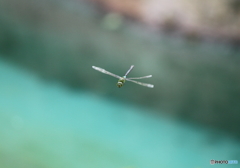 Solo flight