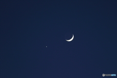 金星と月