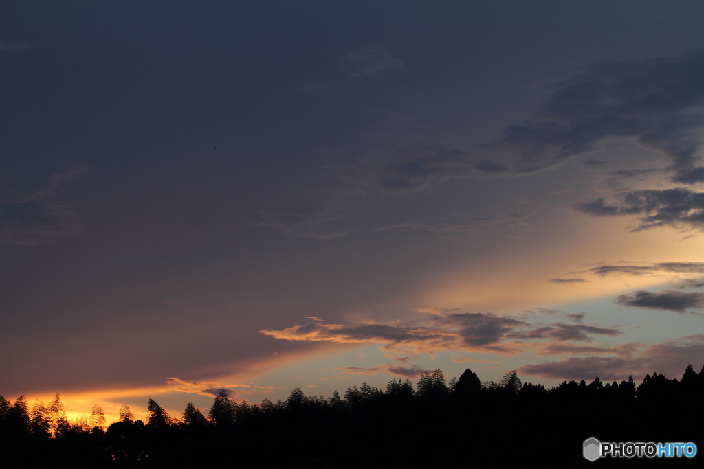 ひと雨くるかな？