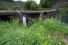 沈下橋