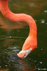 潤