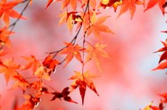 大豊町 定福寺 9