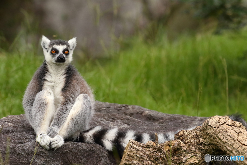 となり空いてますよ