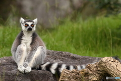 となり空いてますよ