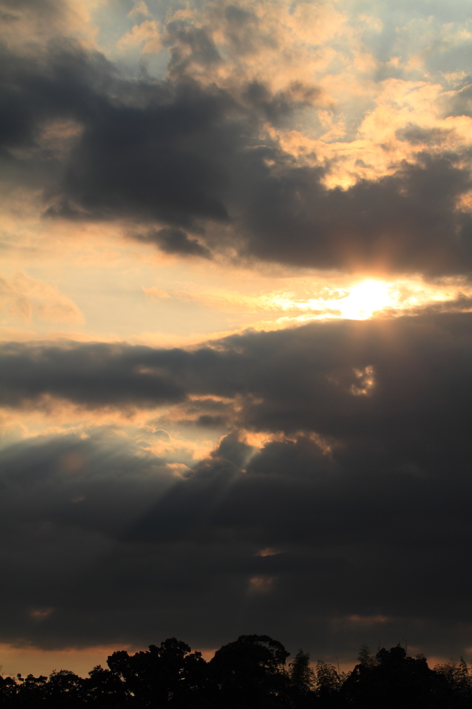 Ｇｏ　Ｗｅｓｔ