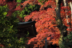 大豊町　定福寺　１5