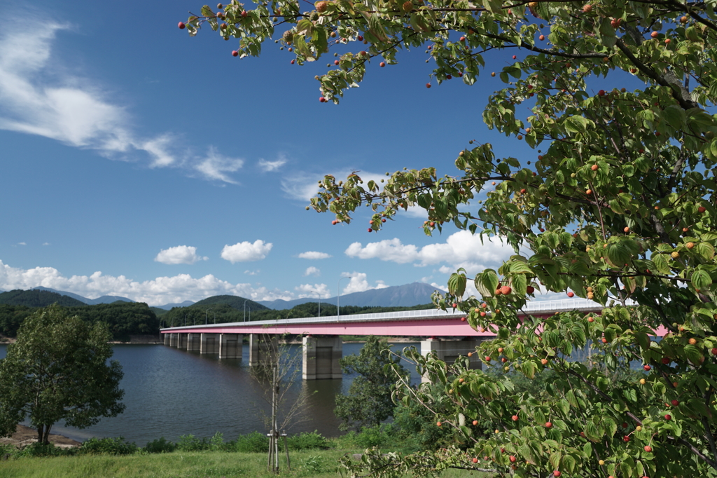 御所湖と繋大橋と奥に岩手山。