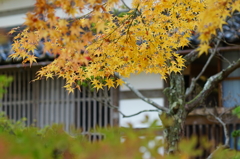 遠島山公園にて。